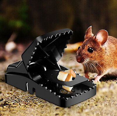 Heavy Duty Reusable Plastic Mouse Trap β Durable & Safe Mouse Catcher for Effective Rodent Control